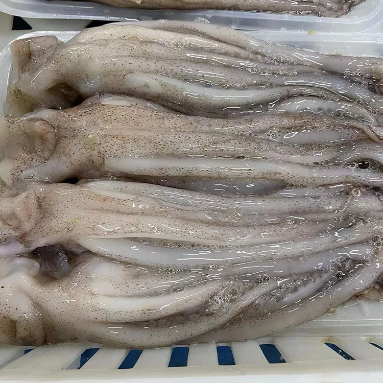 frozen squid tentacles 4