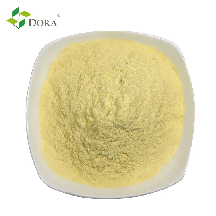 Dora Aminopoly80 Boosts Protein Synthesis with Enzyme-Hydrolyzed Amino Acids