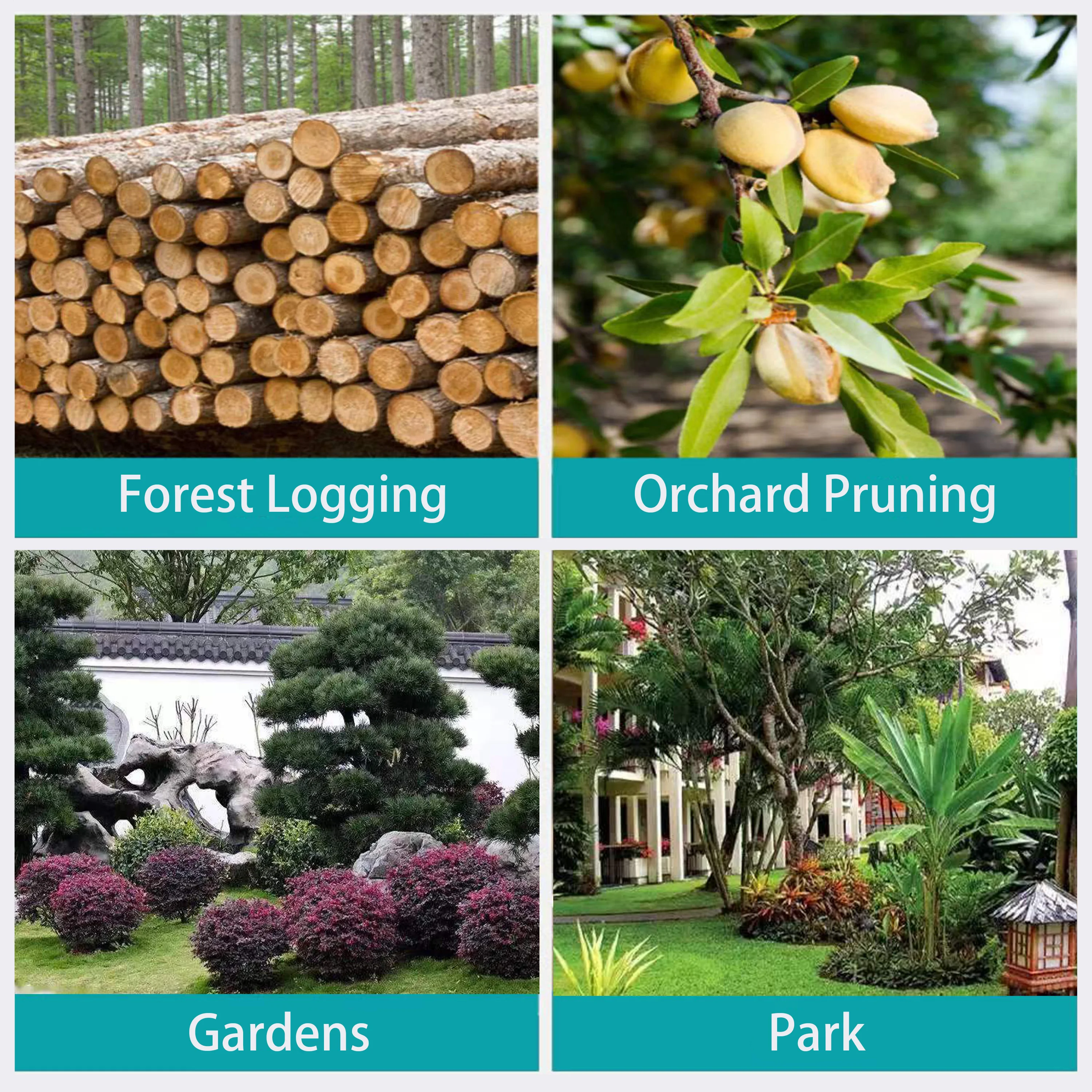 WOSAI CHINA 20V 2.6M Reach Pole Chainsaw Brushless Cordless Lithium Battery Garden Tool Chainsaw