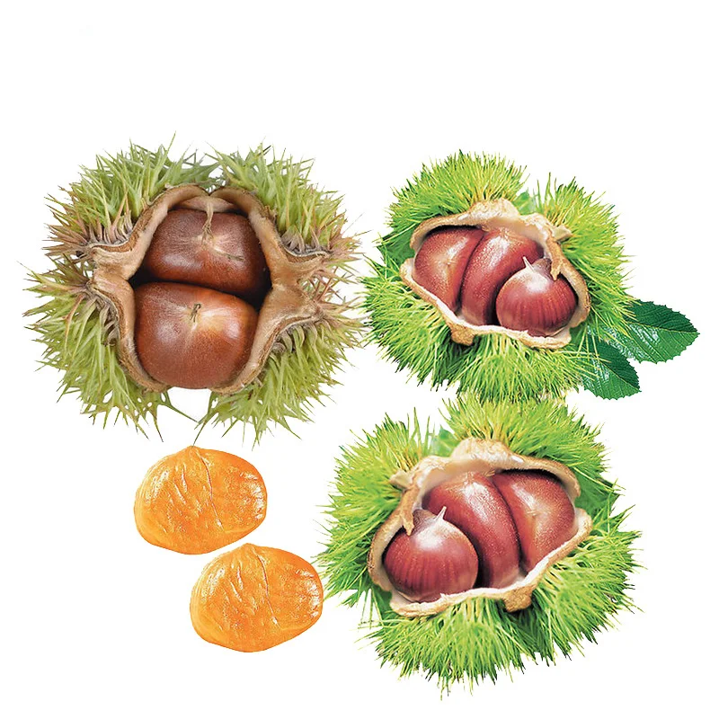 Hot Sale Chinese Sweet Fresh  Chestnut Kernel for Sale