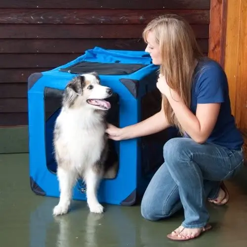 Deluxe Pet Carriers Deluxe Portable Soft Crate for cats and dogs up to 30-pounds