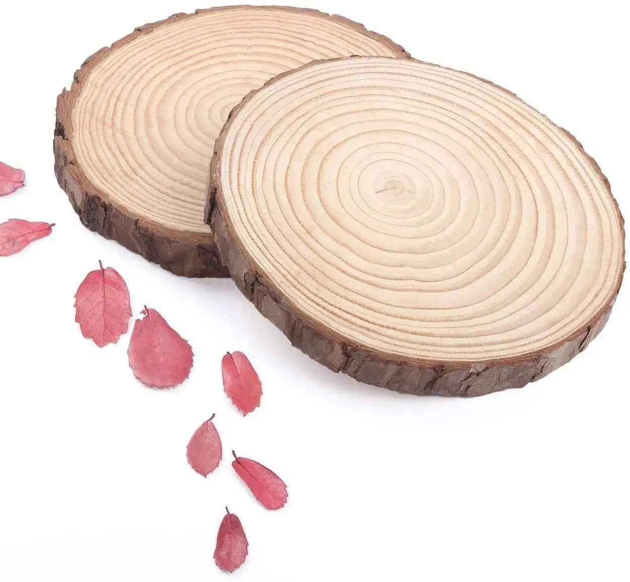 Large Wood Slices for Crafts Wood Centerpieces for Tables Wood Slabs 7 to 8 Inches Rustic Tree Bark Slice Weathered Log Disc