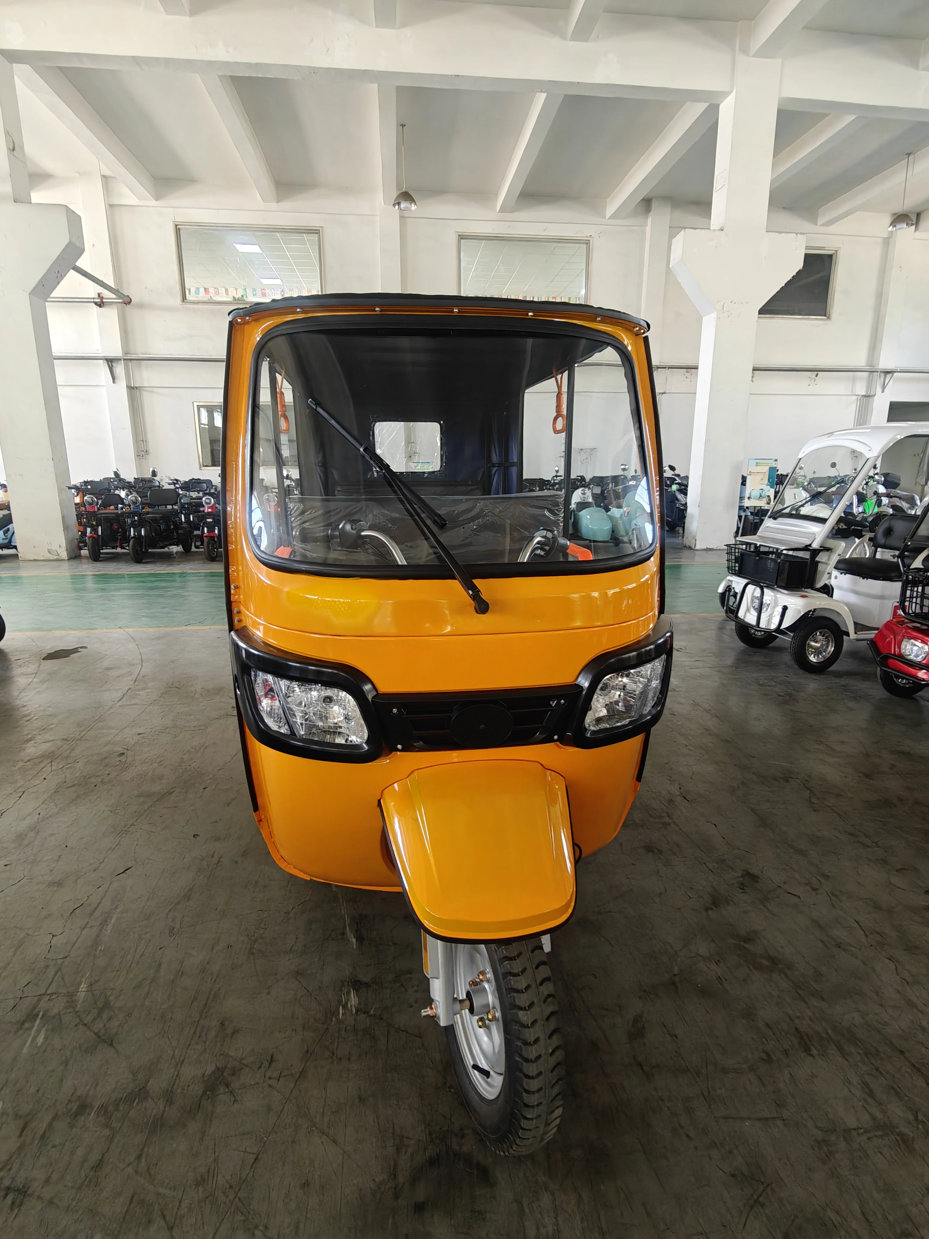 2024 Electric Tuk Tuk 2000W Direct sales Hot sell 2000 Watt Best Old Age E-bike Electric Tricycle Adult Tricycle