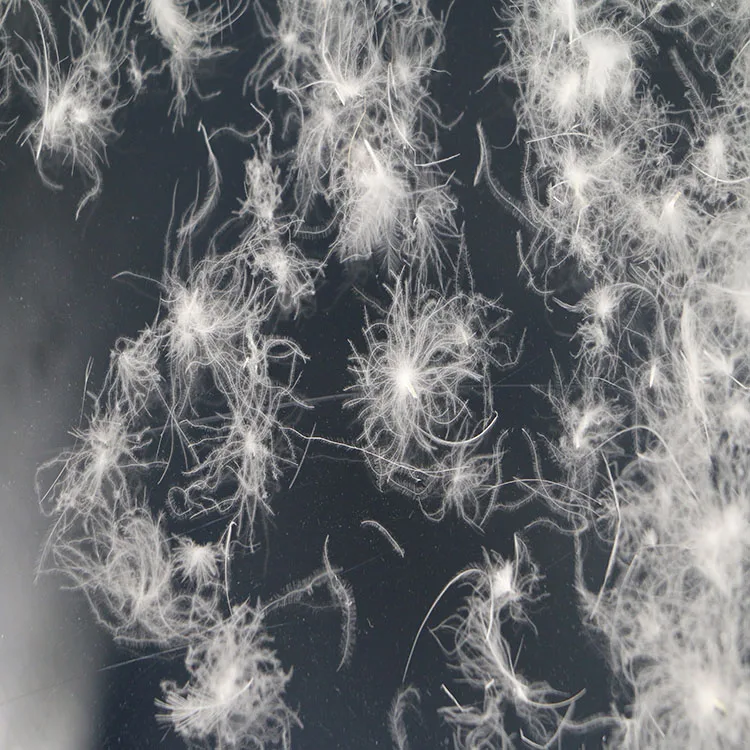 High Quality/plume Raw Materials with High Quality China Professional Supplier Goose Down