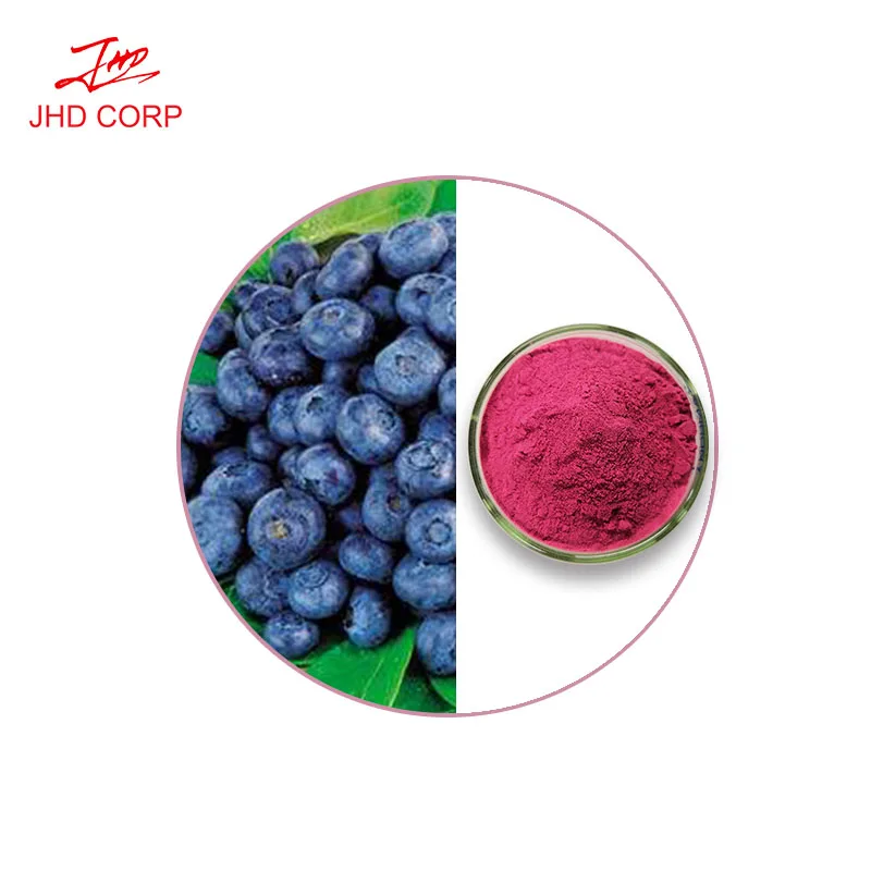 
More than 20 years factory supply hot selling low MOQ 1kg bulk price blueberry flavor powder 