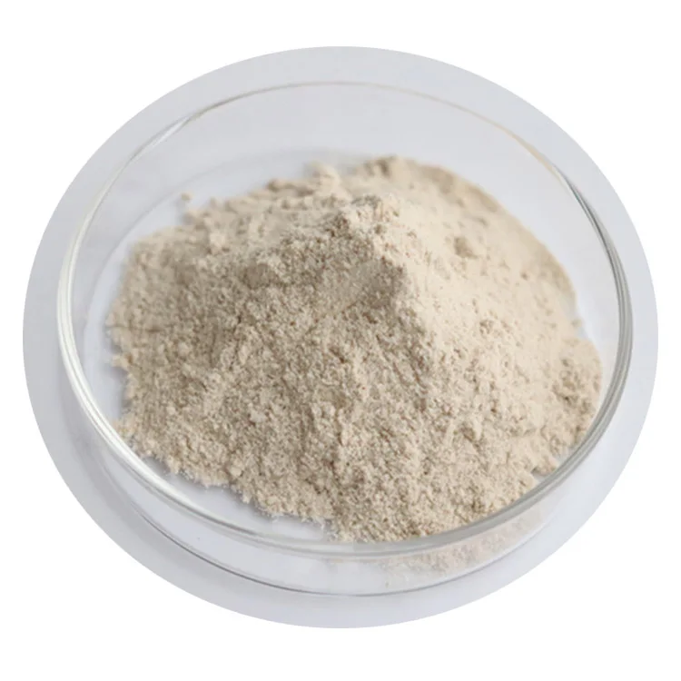 
API manufacture supply Amylase food grade amylase halal liquid enzyme baking fungal powder enzyme a 