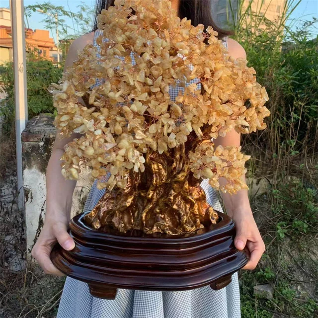 Feng shui spiritual Semi-Precious Crystal HEAL fortune Crafts natur mixed amethyst money tree crystal stones for Decor