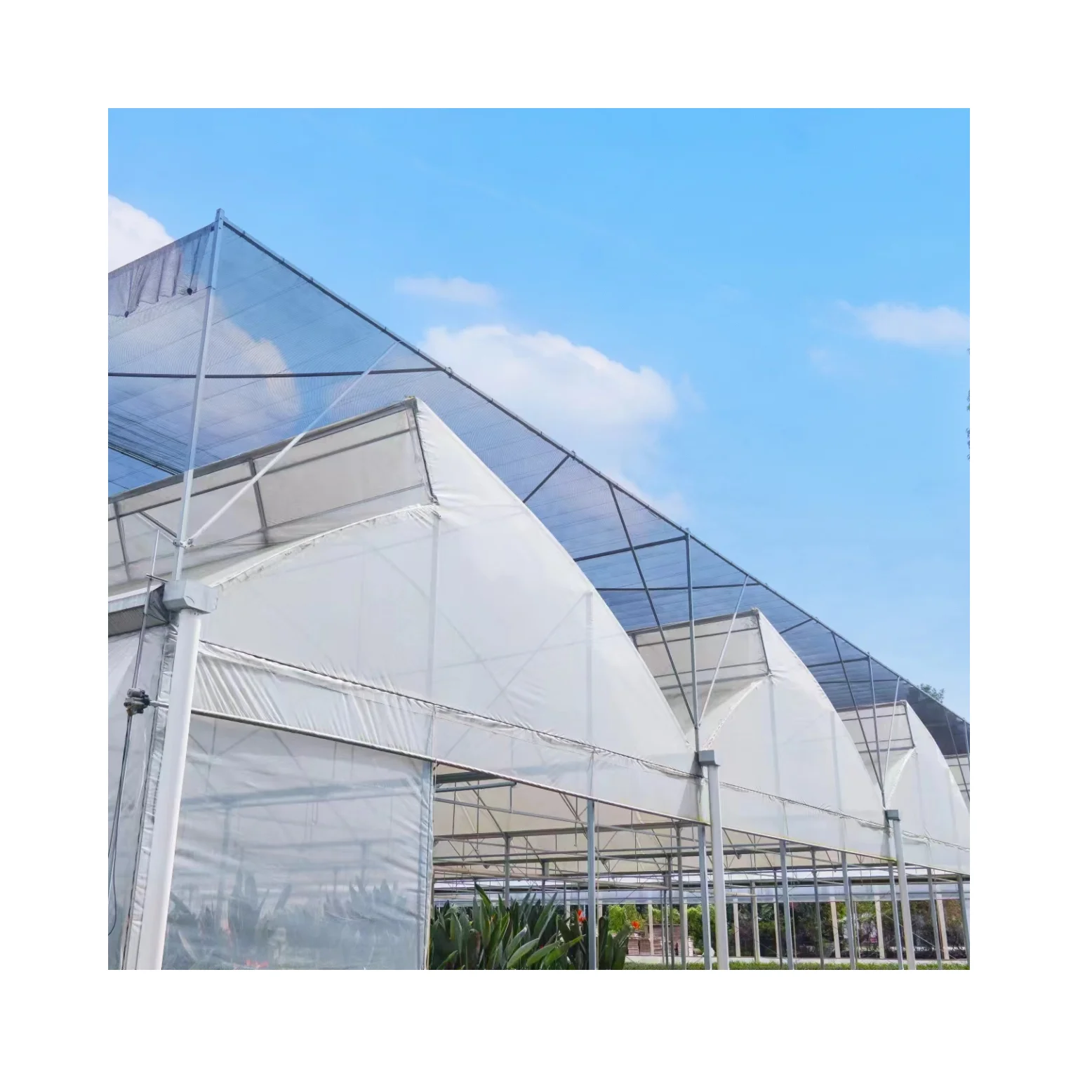 China Factory Hot Sale Hot galvanized steel pipe sawtooth greenhouse Multi-span Greenhouse  frame structure for Agriculture