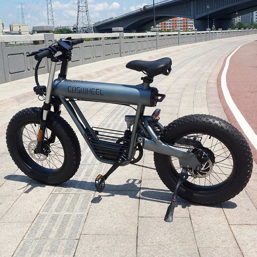 Coswheel T20 заводская цена Электрический мотор грязь большой диапазон 2 сиденья 48v батарея 10/15/20Ah 500W E Bike