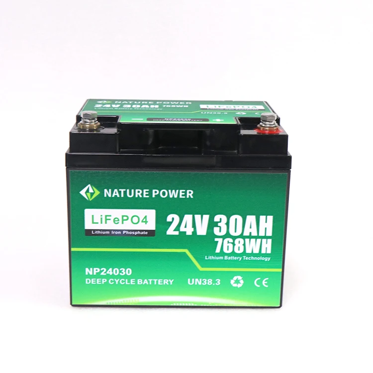 NATURE POWER Deep Cycle Lithium-Ion Battery with BMS 24v 30Ah Car Cranking Battery Lifepo4