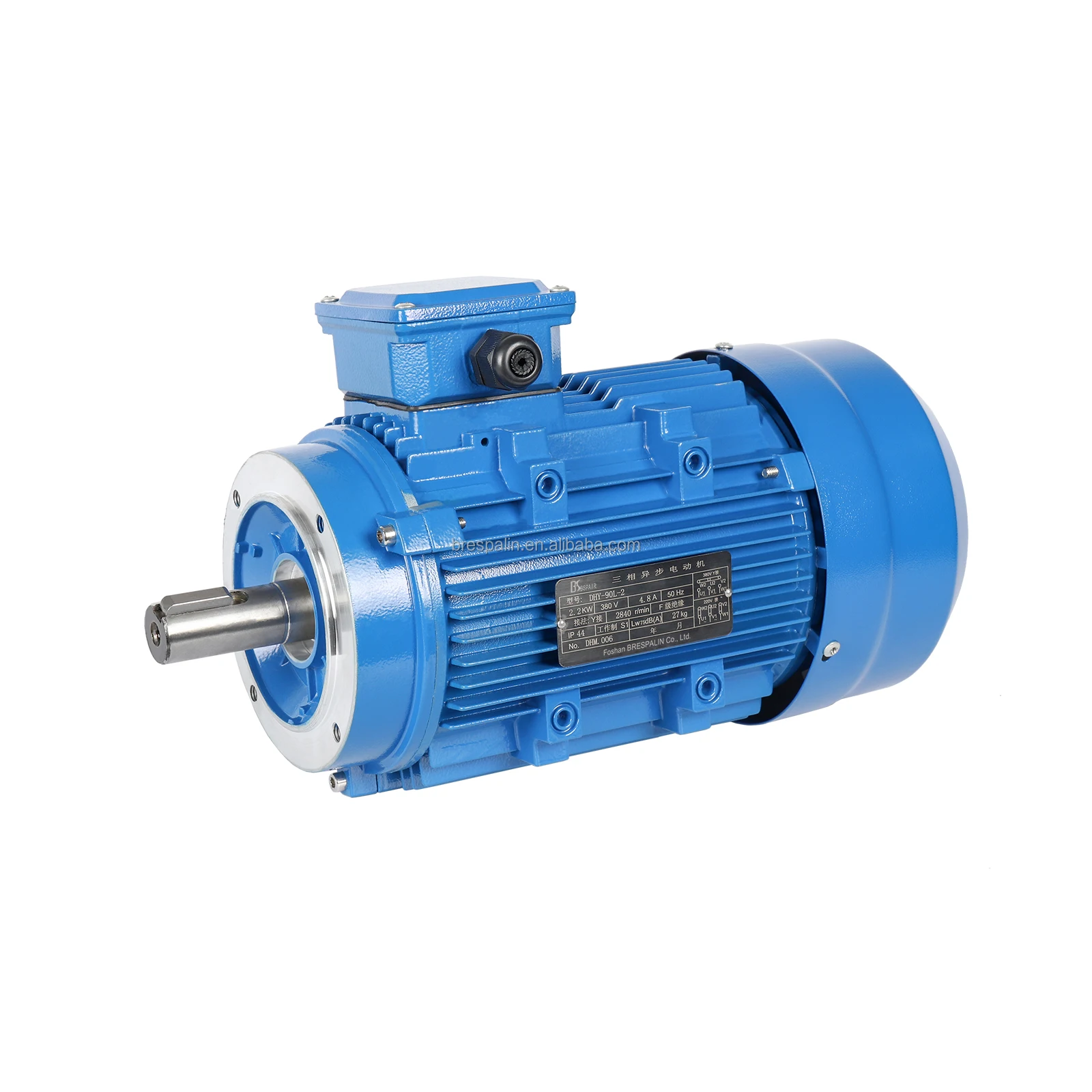 Cast Iron Totally Enclosed Three-Phase Induction Motor Induction AC Electric Motor IP44 IP55