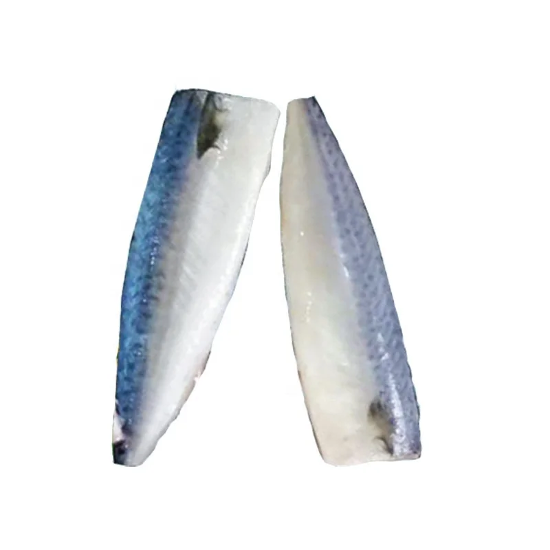 
IQF HGT Pacific Mackerel fish Factory Manufactures Scomber japonicus 