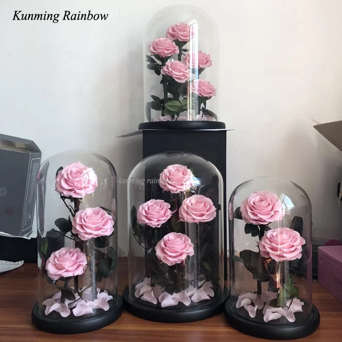 4 Natural eternity preserved roses stabilized with real rose stem and petals in glass dome for Home Decoration or Wedding