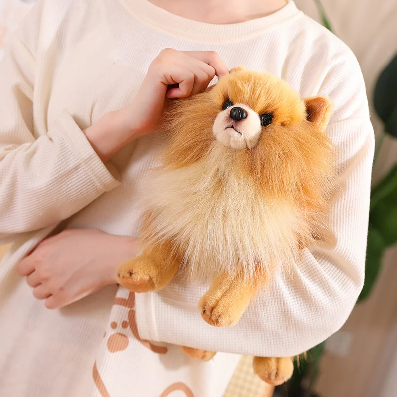 Premium Simulation Pomeranian Dog Plush Toy Cute Stuffed Animals Puppy Plushies Doll Plush Toys For Claw Machine Arcade