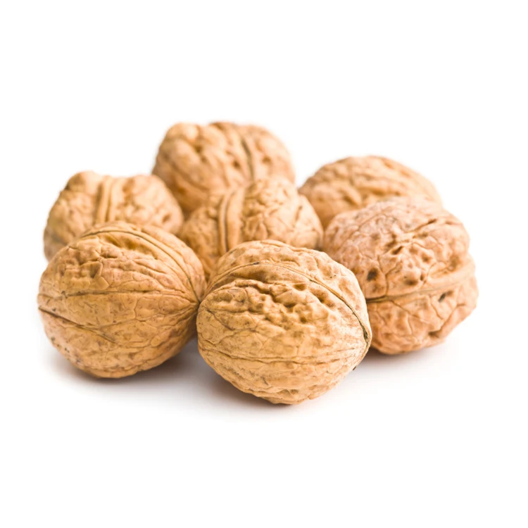 Xinjiang Thin Shell Lowest Price Plant Walnut Inshell Paper 33 Walnuts