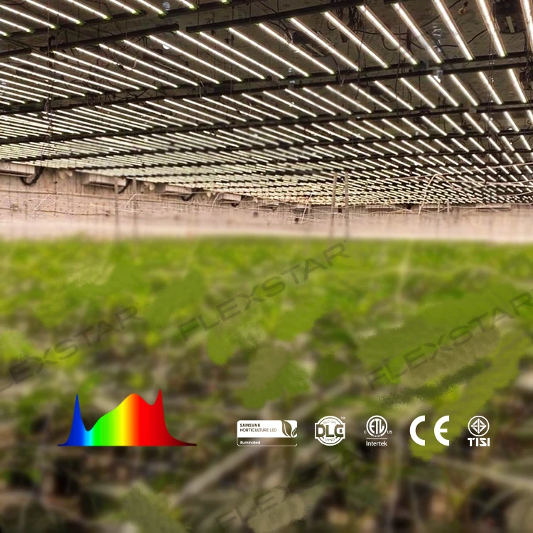 Indoor Vertical Farming 4X6ft Plant Dimmable Bar Style LED Grow Light Blue Red 800 Watt for Indoor Plant