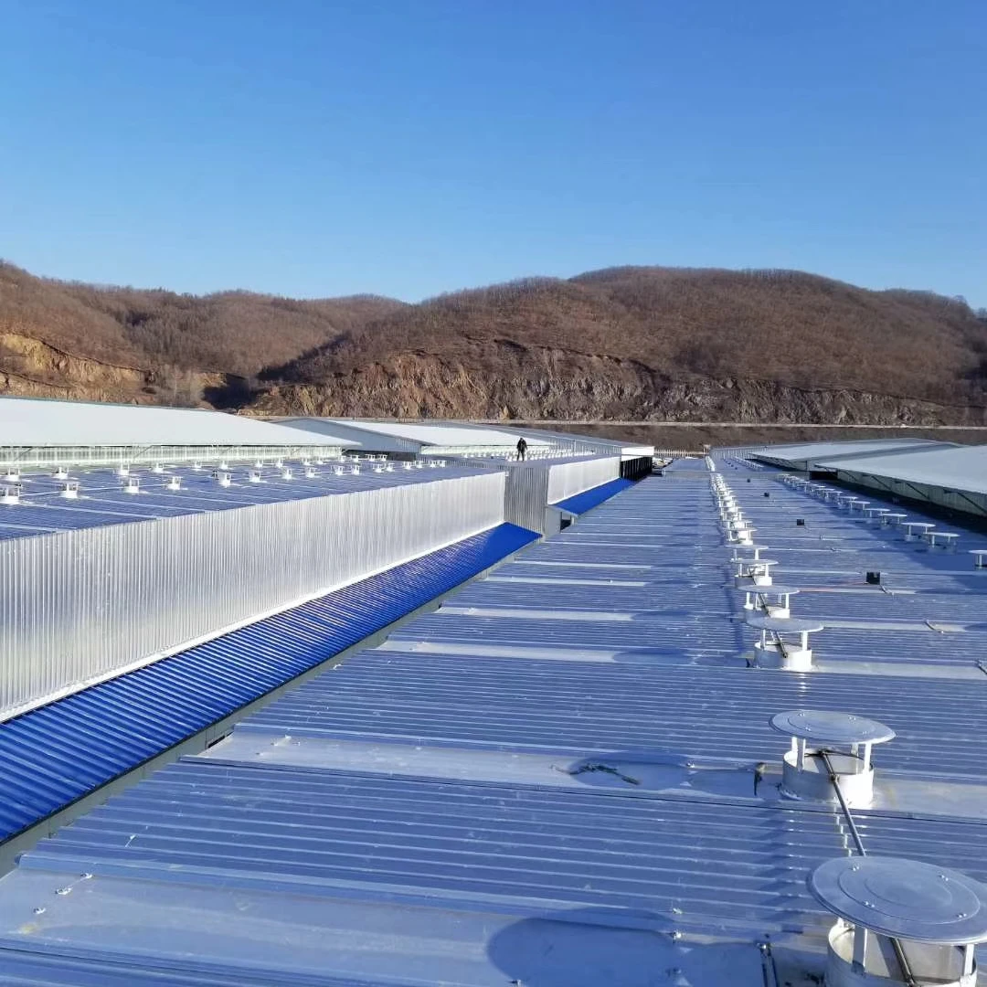 Hot Sale Drying Wood kiln Wood Drying kiln Germany control system wood drying kiln for sale