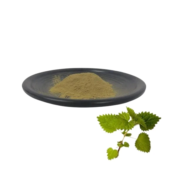Organic Product 84012-40-8 Nettle Extract Exclusive Provide Bulk Hot Sale Food Medicine Grade Nettle Root Extract 10:1 powder the Best Price