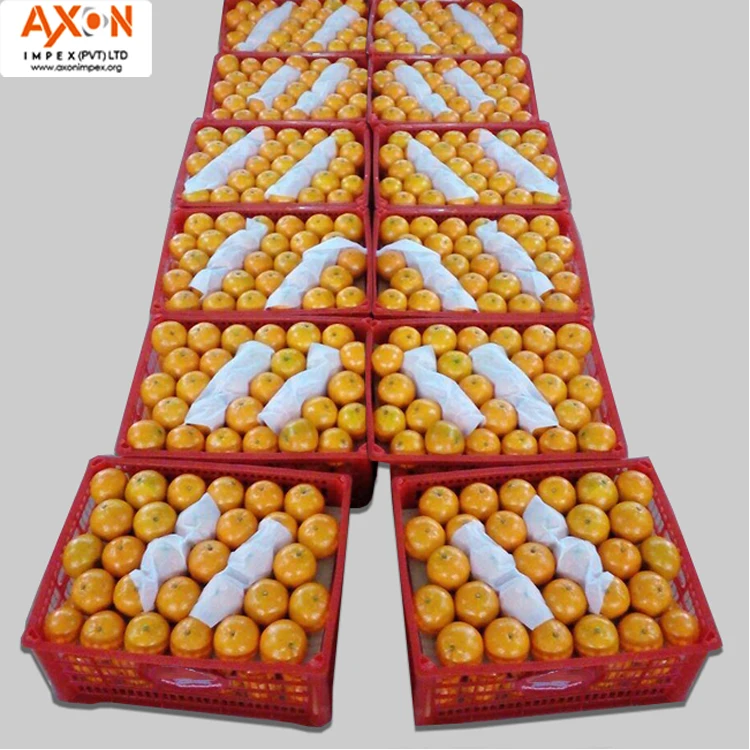 
Fresh Citrus Naval oranges, Lemons,Mandarins,valencia orange,Lime for sale 