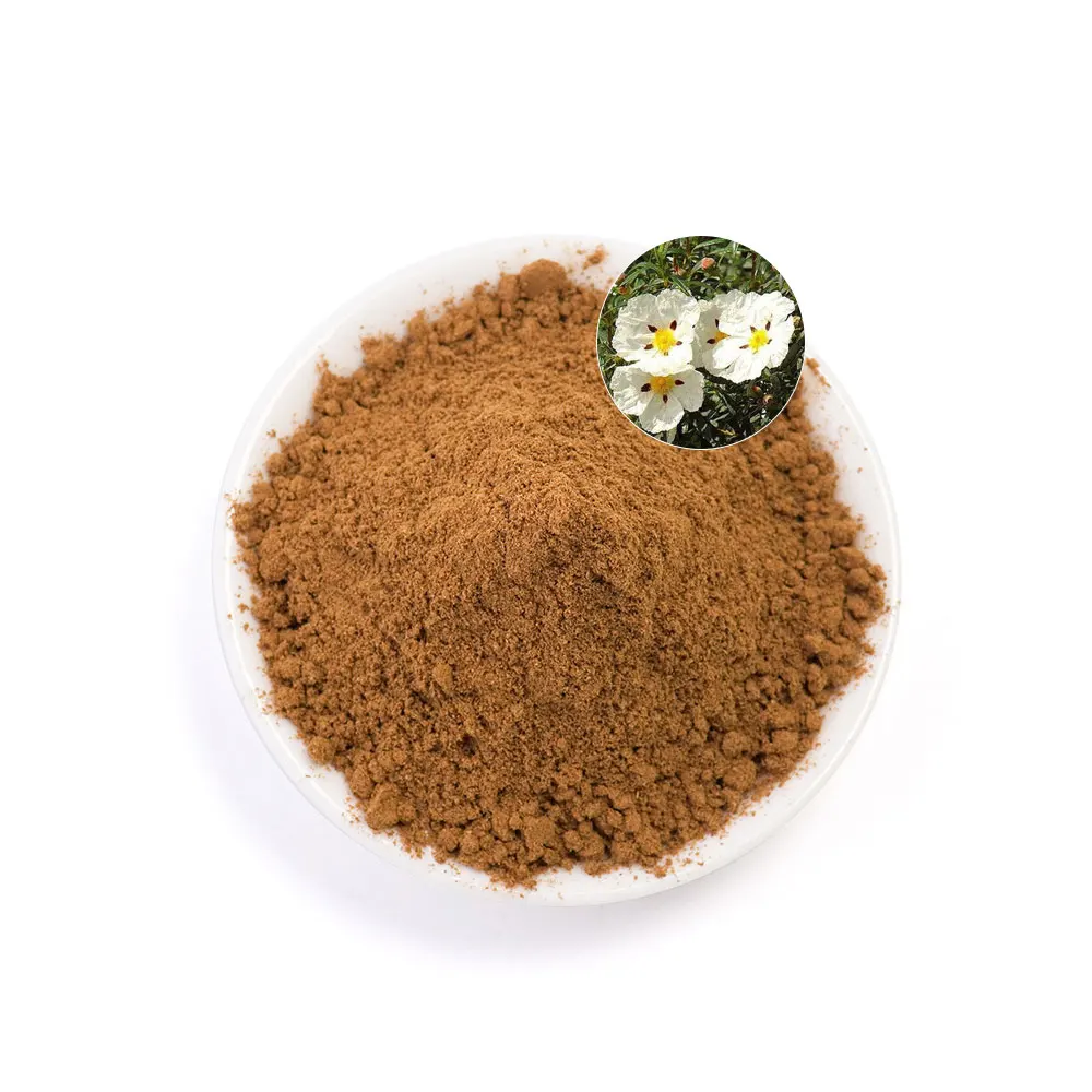 Natural Rockrose Extract Relieve Eye Fatigue Herbal Extract Cistus Incanus Wholesale