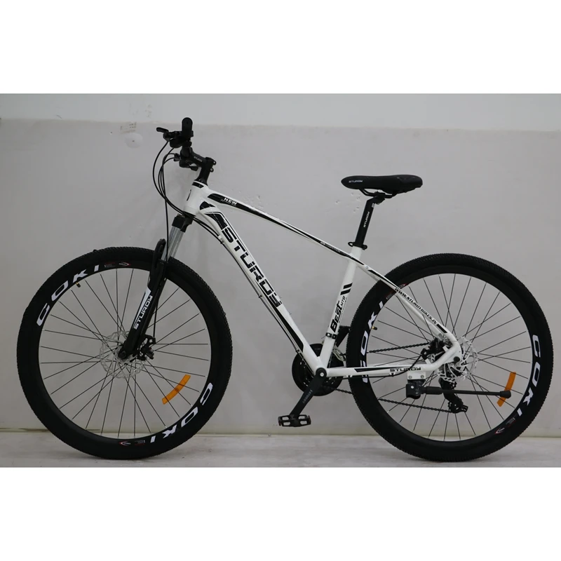 Mountain Bike Popular Adult Aluminium Alloy Rim Fork Shoulder Larger Wheels 29 Inch Mountain Bicycle