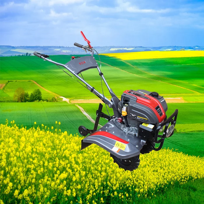 China Chongqing Popular Micro Rice Tiller / Cultivator / Plough  and Sow Power Tiller