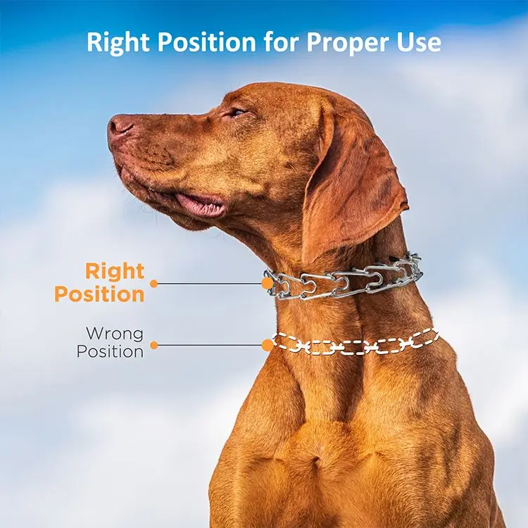 Functional Dog Training Choke Pinch Collar Dog Prong Training Collar For Small Middle Big Dog