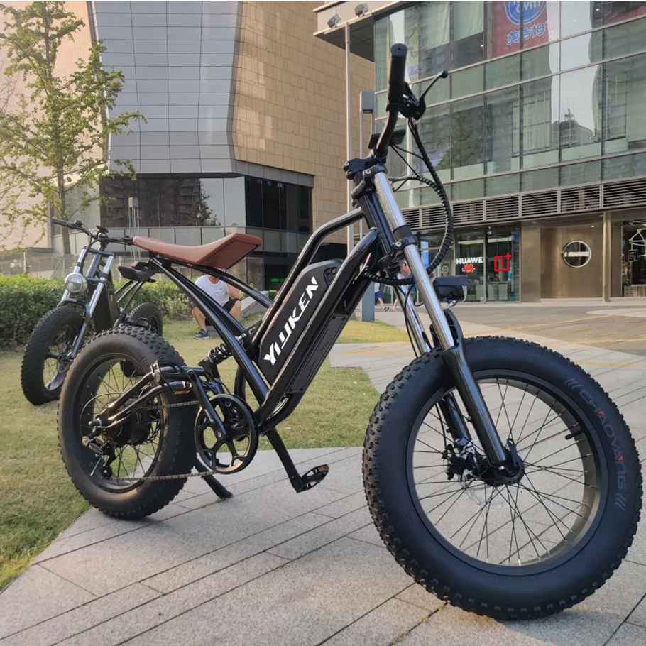 48V 500w 750w 1000w Power China Cheap Full Suspension Retro Vintage E Circle Ebike Dirt Mountain Fat Tire Bicycle Electric Bike