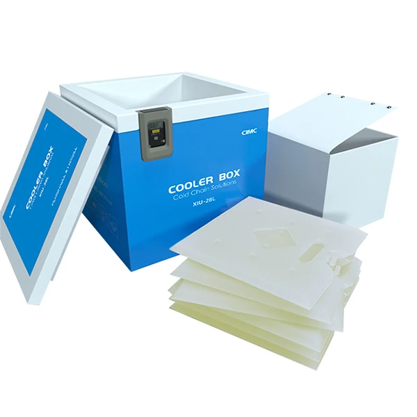 High Technology Hot Sell Cold Chain Logistics Lock Cold Chain Logistics Cold Chain Logistic Bag