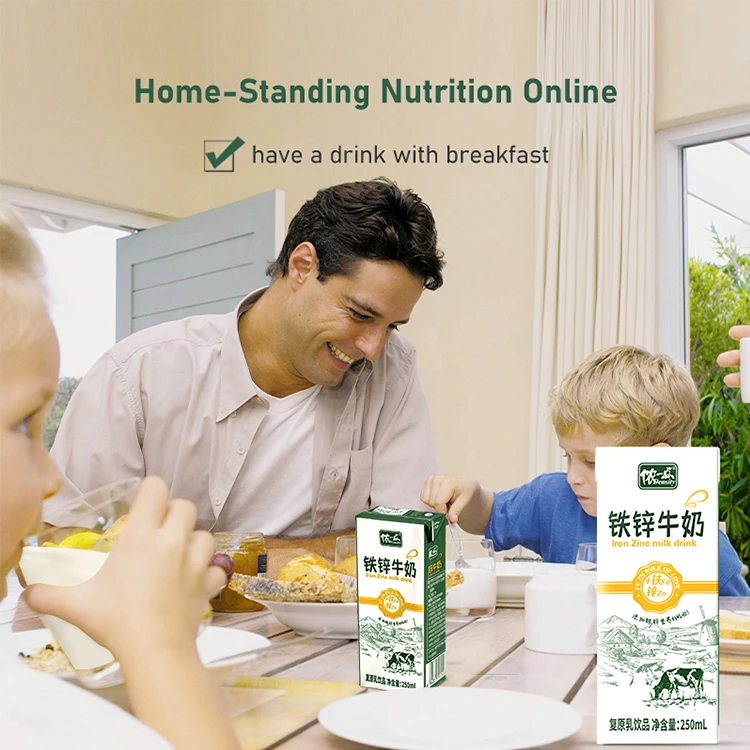LISHI Daily Drink Ready To Drink Breakfast Zinc Iron 72 Per Carton 12 Per Pack 250ml Dairy Milk