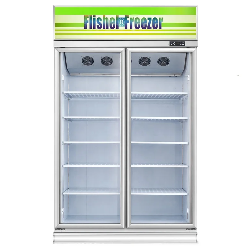 -22 degree Commercial upright 2 glass door vertical ice cream deep showcase freezer