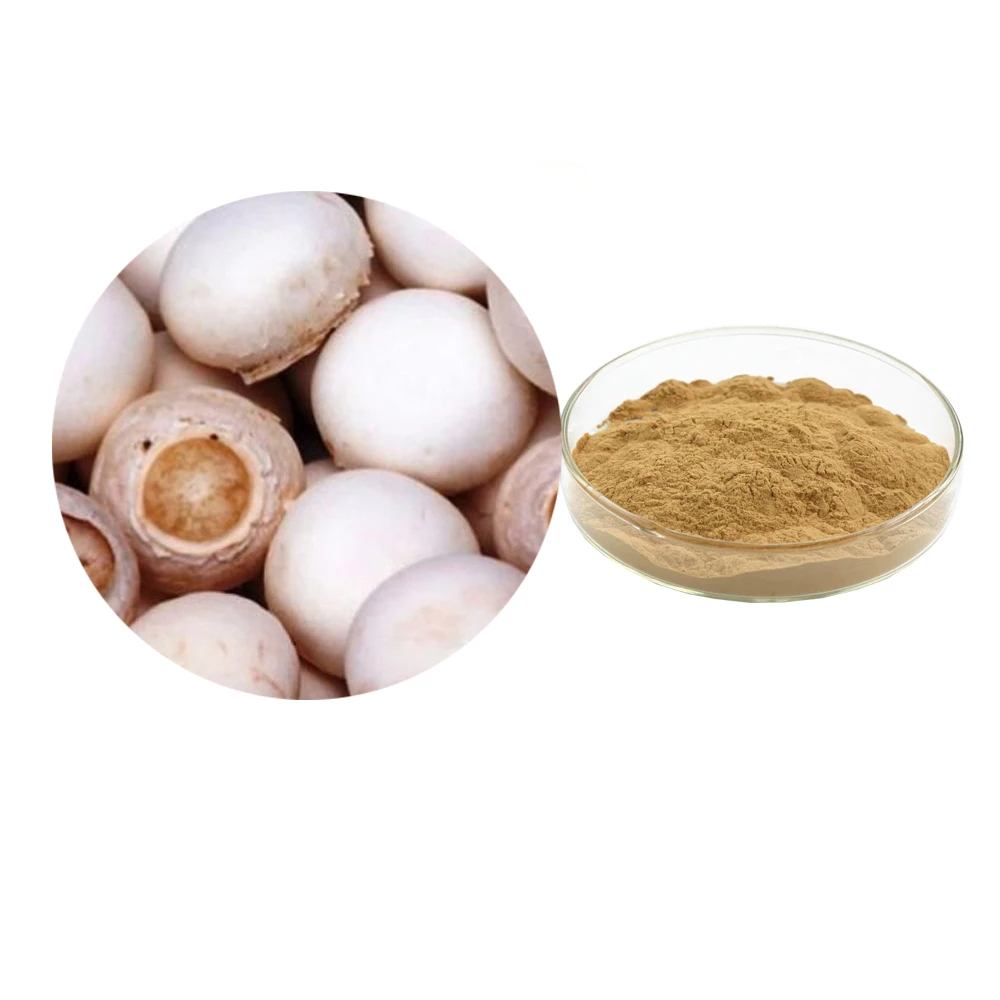 Экстракт мицелия Fomitopsis officinalis (Agarikon) полисахарид 30% экстракт гриба