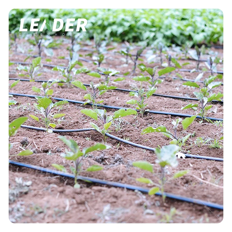UV resistance outdoor farm land agricultural greenhouse irrigation systems 16mm 0.8mm double line drip tape with dripper