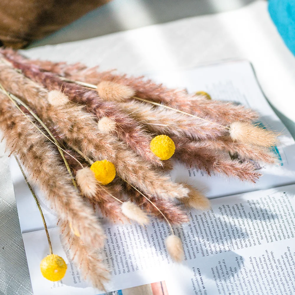 free sample Pampas Grass bouquet dried flower For wedding decoration Home decoration decorative flowers & wreaths