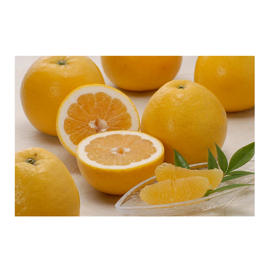 Japanese wholesale bulk fresh citrus fruit with good quality