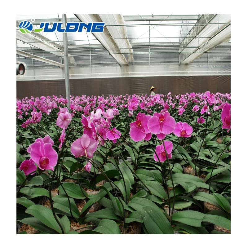 Orchid Rose Greenhouse Flower Green House Agricultural Economic Greenhouses Price