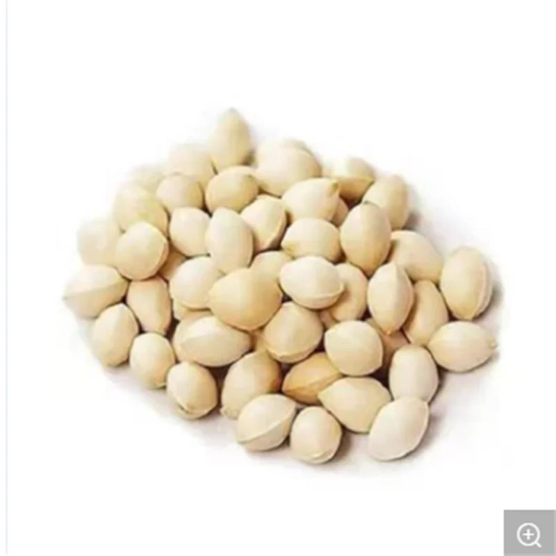 Cheap Price ginkgo Nuts Good Price For Sale