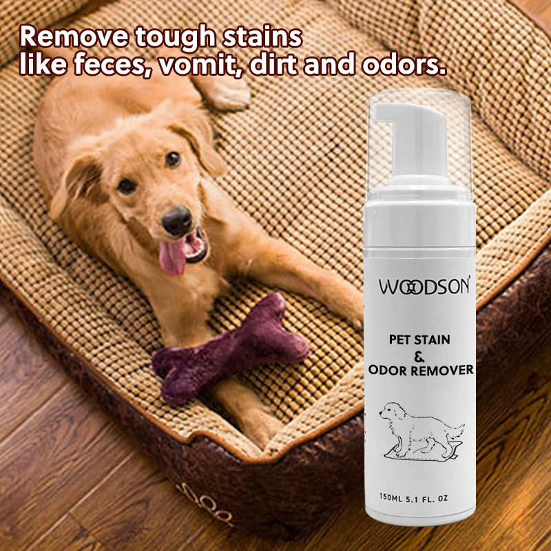 Natural ingredients non-irritating pet stain and odor remover eliminator foam fabric cleaner
