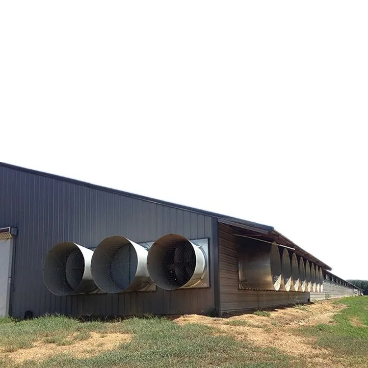 Hot Selling Prefab Layer Chicken Houses Steel Structure with Automatic Poultry Farm Equipment