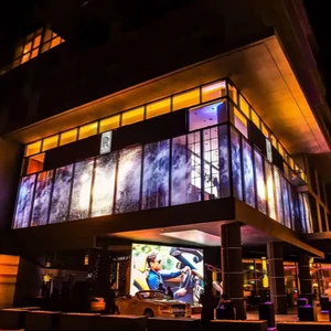 P5 P6 P8 P10 P15 P20mm flexible LED Film Screen reefilm flexible led transparent led screen for retail stores flexible led film