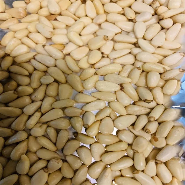 Raw pine nuts pine nuts pakistan pine nuts in shell