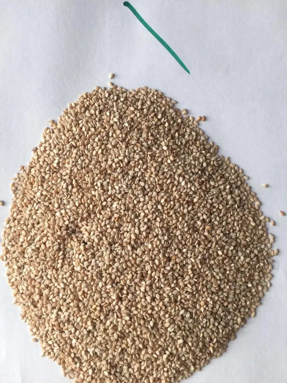 sesame seeds roasted