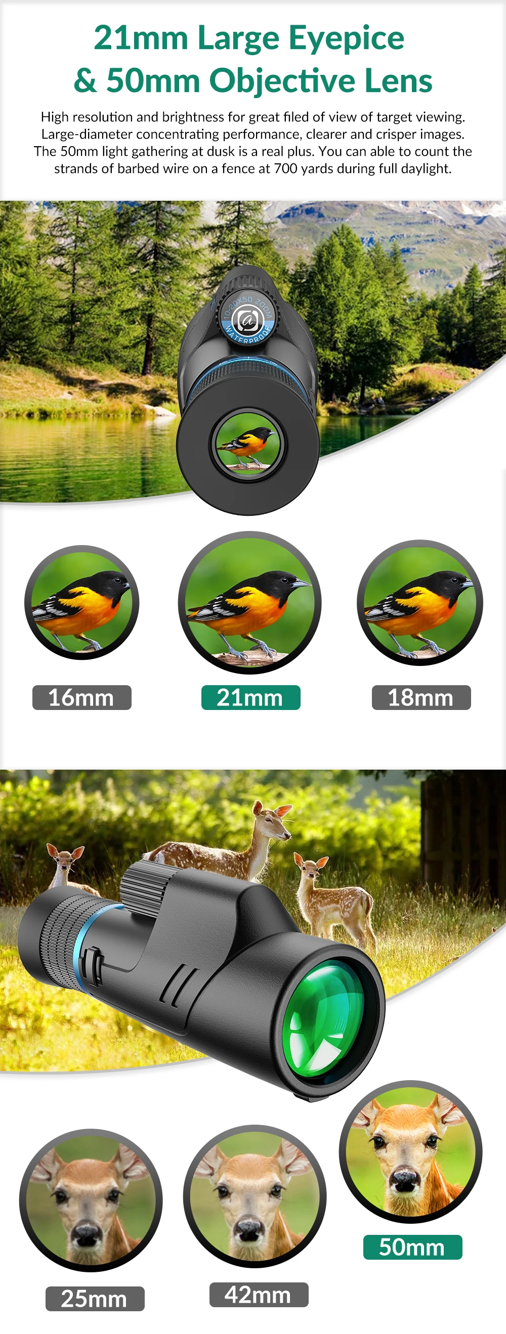 .jpg