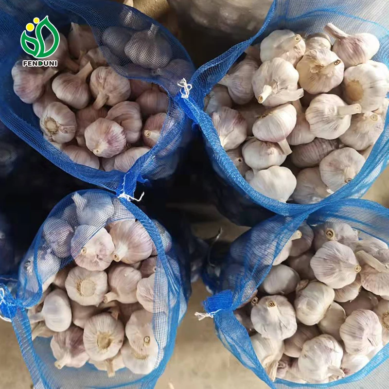 2024 excellent quality garlic fresh garlic garlic exporter from Chinese wholesaler