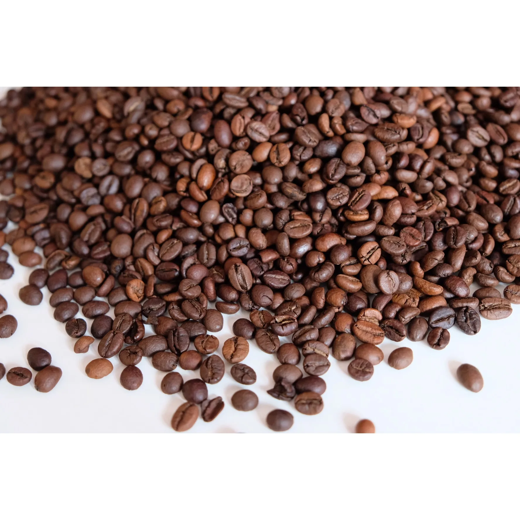 Made in Vietnam Robusta S16 Roasted Carpentry Coffee Beans Cafe Medium Roasted Robusta Beans High Quality Robusta Beans Roasted