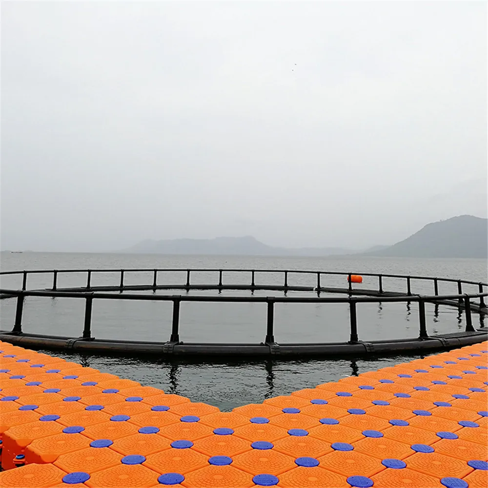 Aquaculture Equipment Marine Offshore Aquaculture Crab Fishing Cage Eel for Sale