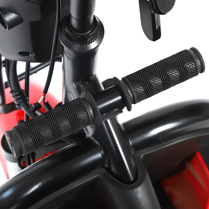  Mobility Electric Vehicle 500W Tricycles Tricycle