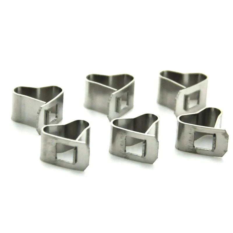 Hershey Factory Custom High Quality Flat Wire Specail Spring