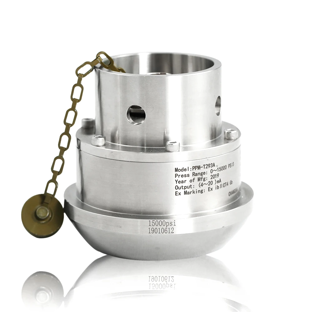 4-20mA Outlet Sealed Pressure PPM-T293A Hammer Union Industrial Oil Pressure Sensor