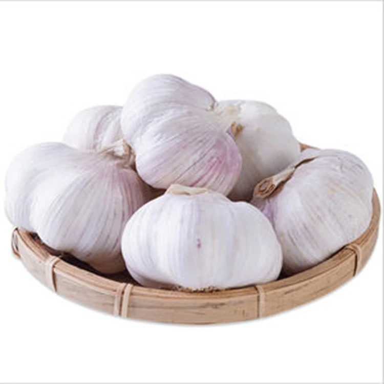 wholesale imported 4p 6p pure SPRING WHITE GARLIC FROM SPAIN. red garlic in bulk 10kg mesh bag